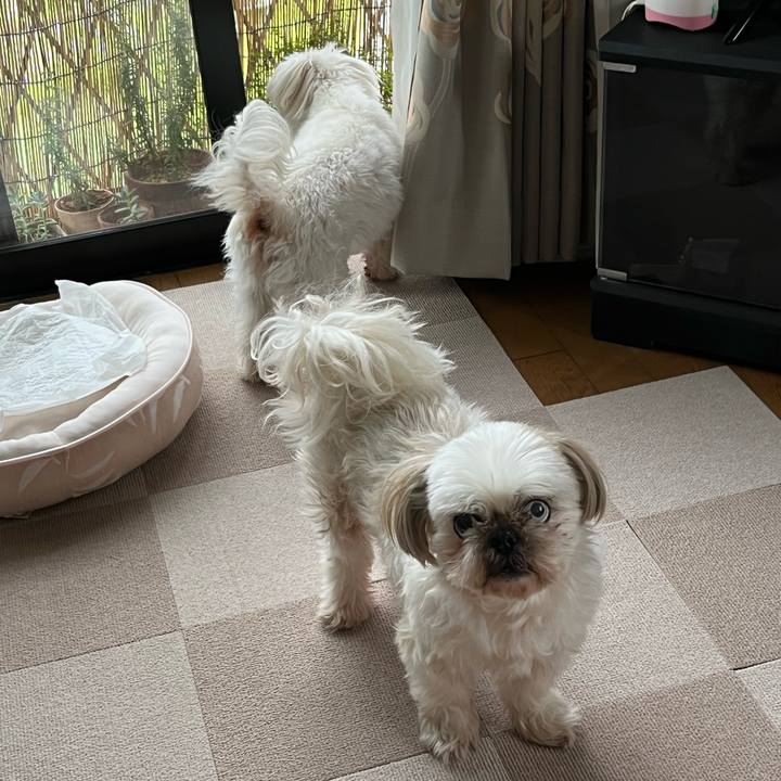 B4992c2b 7e82 4ada a887 a7b531111397 1654235108057