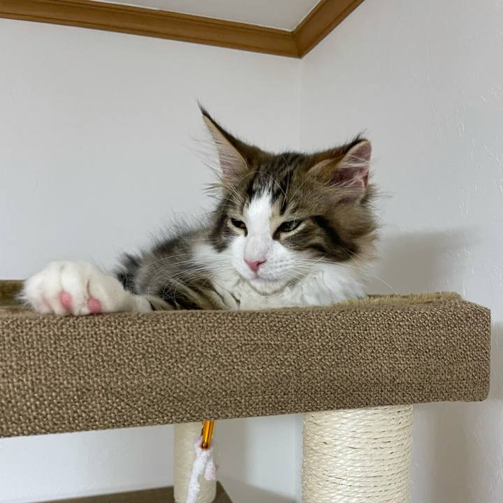 B4994543 3dad 4292 a3cd 7eaf452430b9 1632831835037