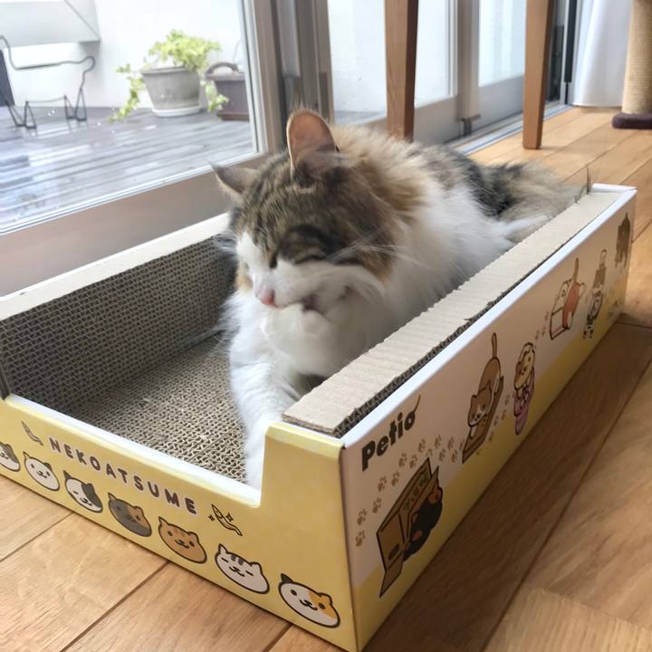 B49968ba c8cd 4488 bc17 f2f65569f75f 1530766240887