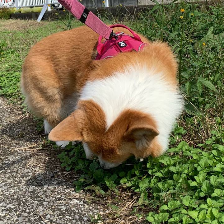 B49978af 7700 4d76 82c9 c8ede2238bf5 1697771966225