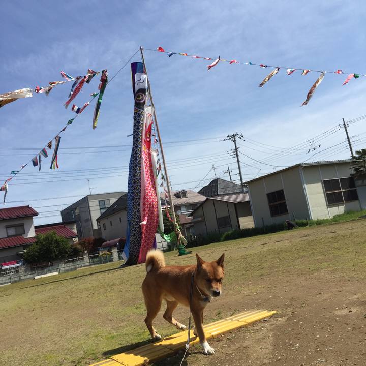 B499a71e addf 473c 913f a6658638893a 1555885486498