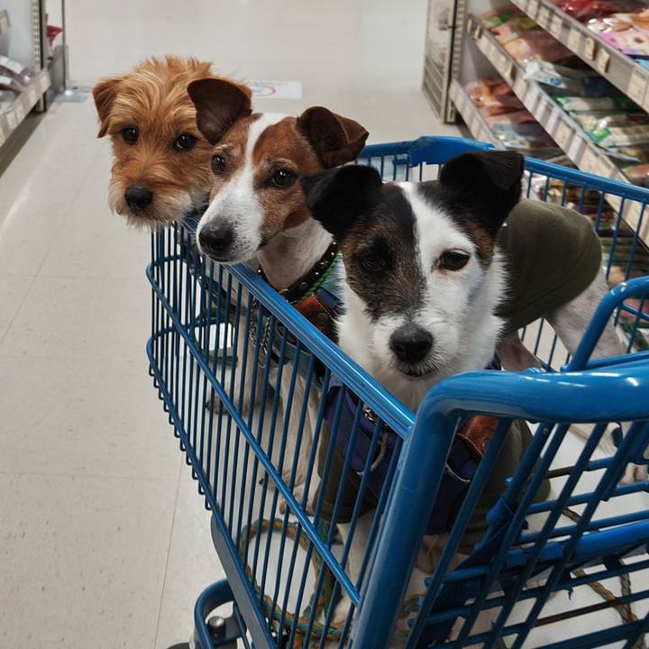 B499b15d 716d 4d19 8865 501a4f03947a 1741860323957