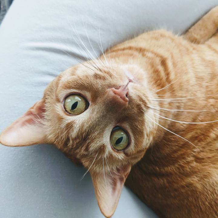 B49a2fc4 290d 49a3 94cf 3826d0a1723e 1673582212981