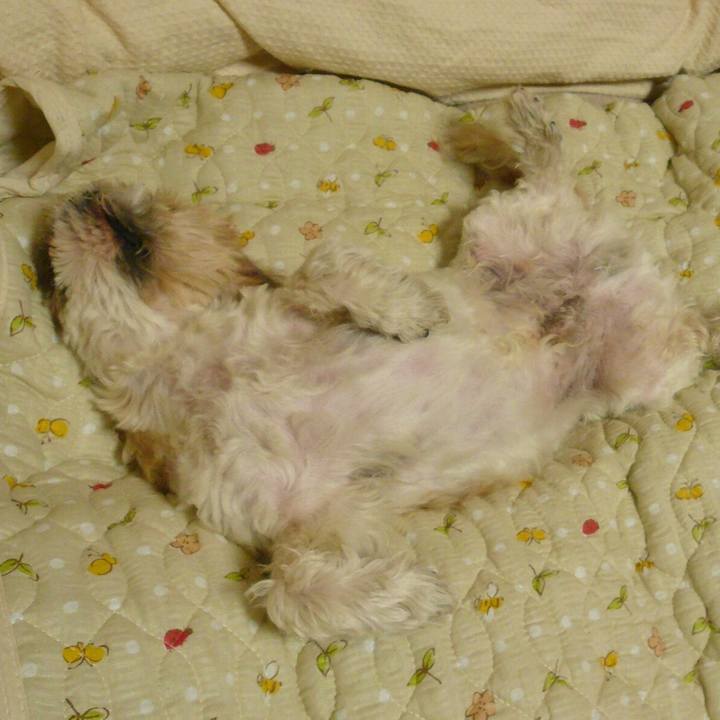 B49a84c5 772b 4978 a346 2b2e40d00193 1528713732159