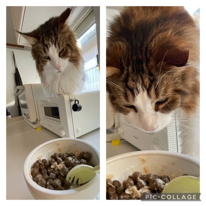 B49a9d80 3ab8 4b2b 8296 93efef76e0b6 1690104324426