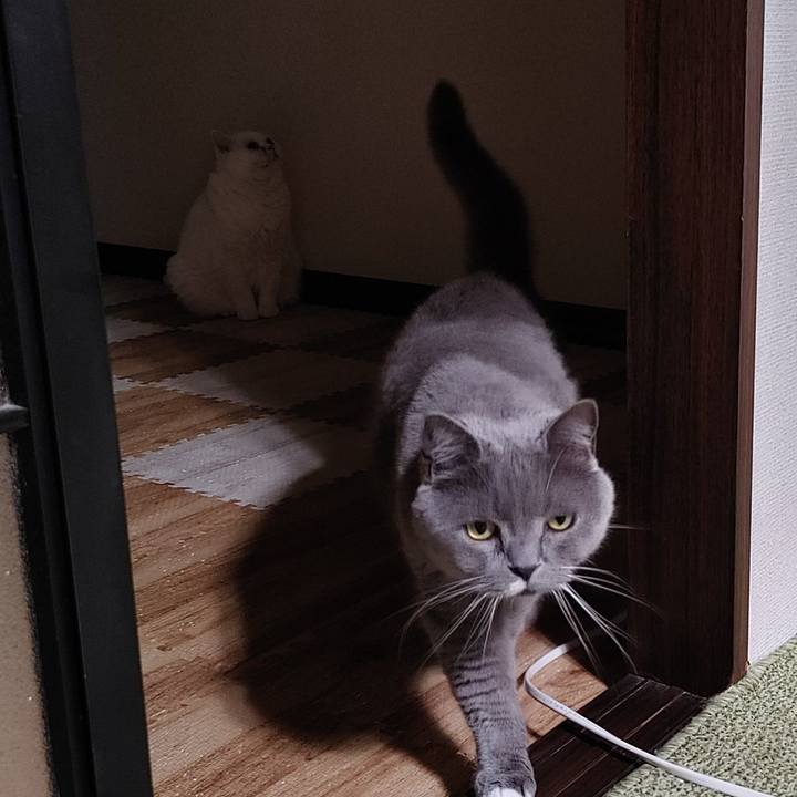 B49aad6e 3313 4d56 b1ee 12643c67ea69 1715444592636