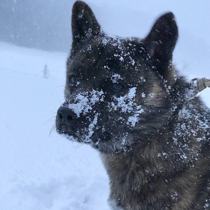 B49aad74 e6eb 48b2 bcad 1ba3a42faa3e 1516748475052