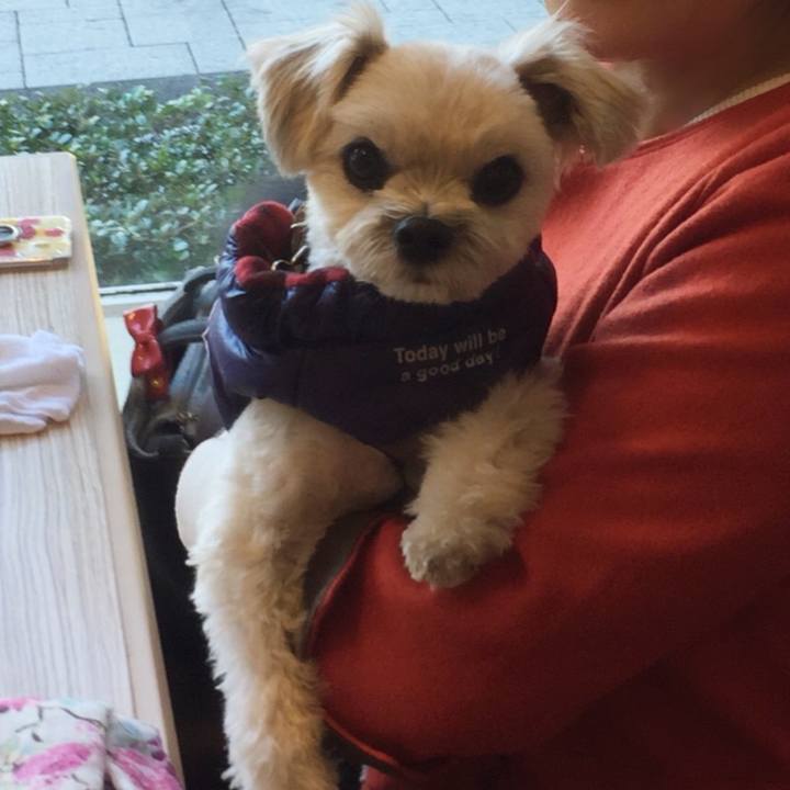 B49ae3a5 37a9 48bc 9c60 6db064272983 1514637852756