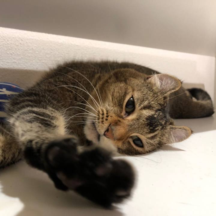 B49af7be 6f7d 438c a922 384797fffc88 1597282186516