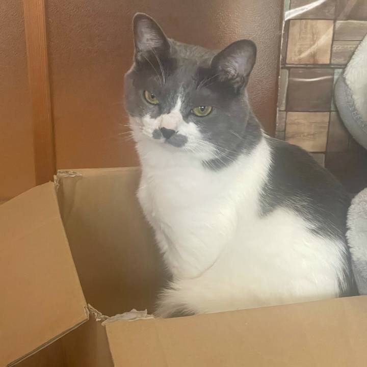 B49b00e3 a561 41b2 9667 945cd8abccf9 1627258766732