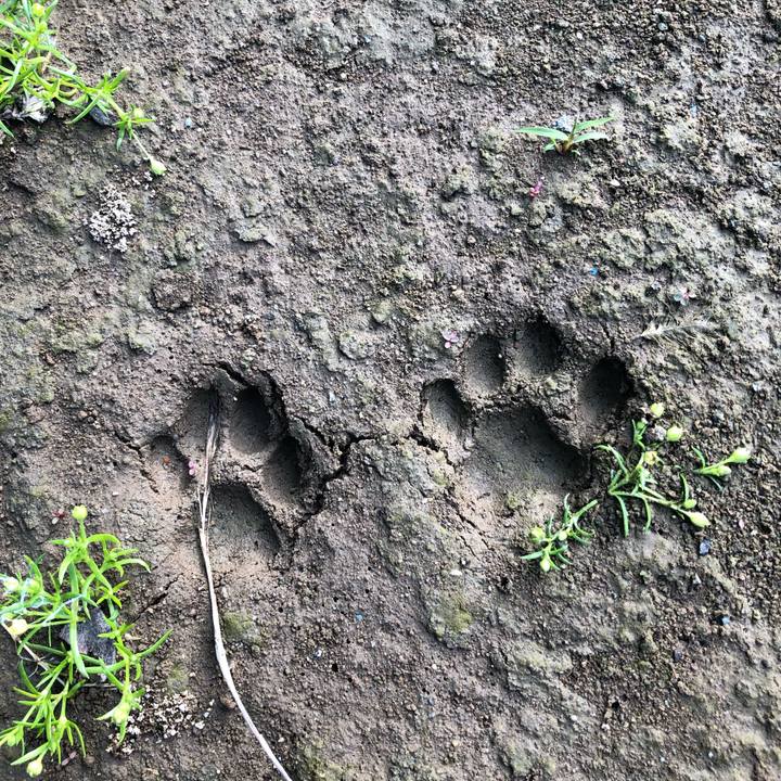 B49b515e f8a1 43da ac30 a108a3d46051 1558513044757