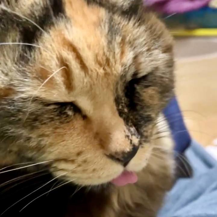 B49b5c5a 0e35 4f62 9192 b2cdf9cdabc0 1740311741608