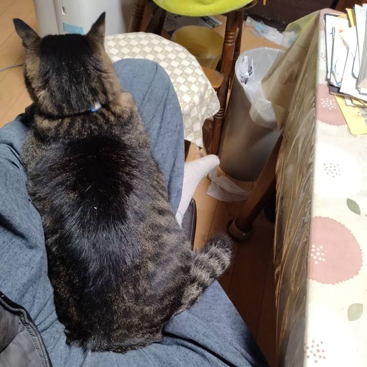 B49b6299 9ece 4cef b7c9 1fb41f51952e 1701426806695