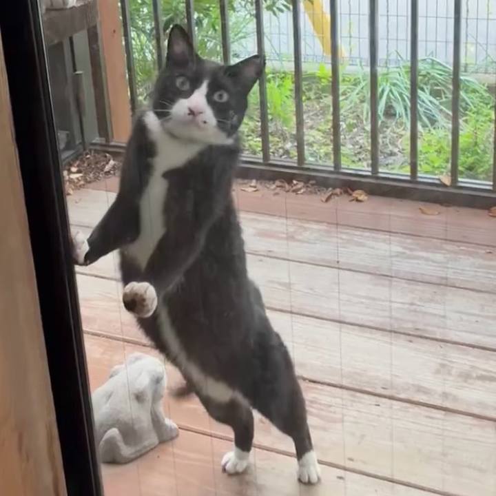 B49b630f 648e 4b27 a96c 9359fdc80daf 1749201971317