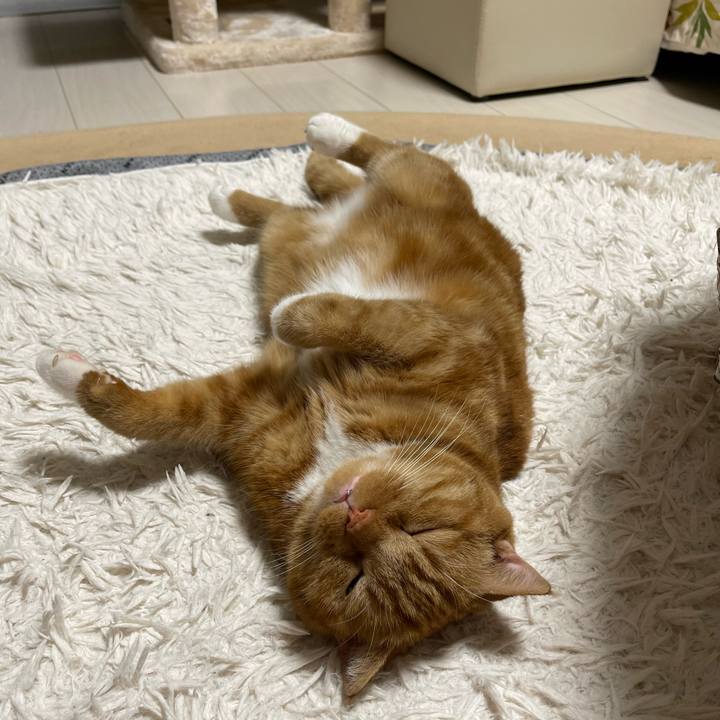 B49b7f1b 348a 4703 bdbe e5e4032dfb1f 1689510534667