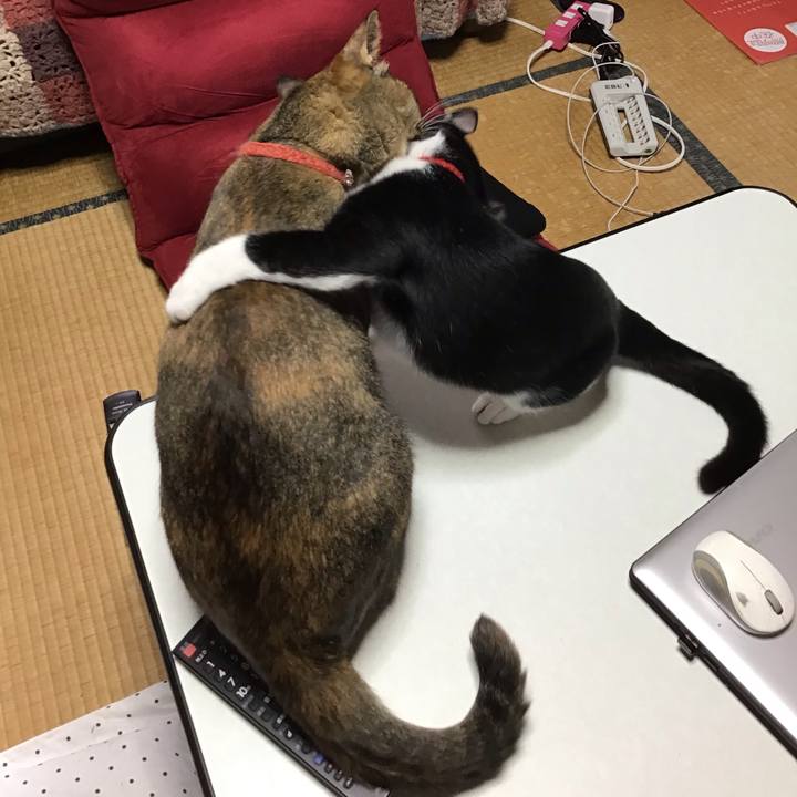 B49bc245 fbc8 4791 8bcd bfe47cb5b93d 1629593054183