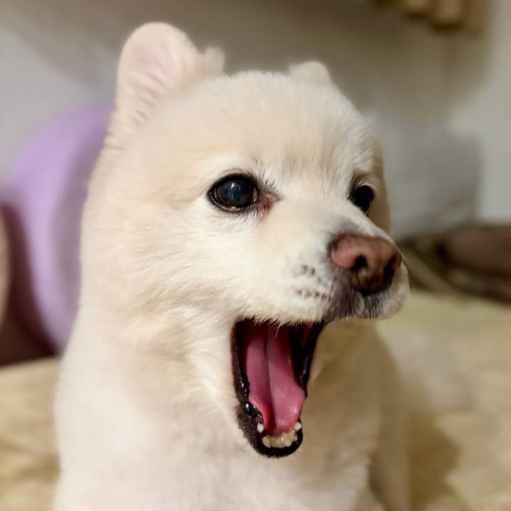 B49bc903 7f4c 4074 97b1 acba72ad628b 1772453814911