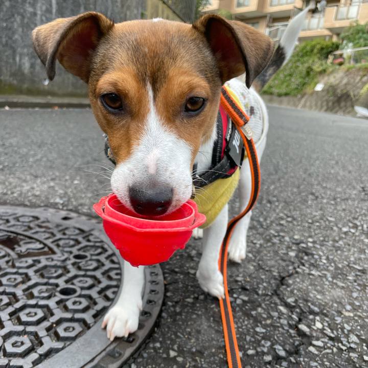 B49bf072 0f25 40a7 bc3c 6d8bebba5574 1699437773166