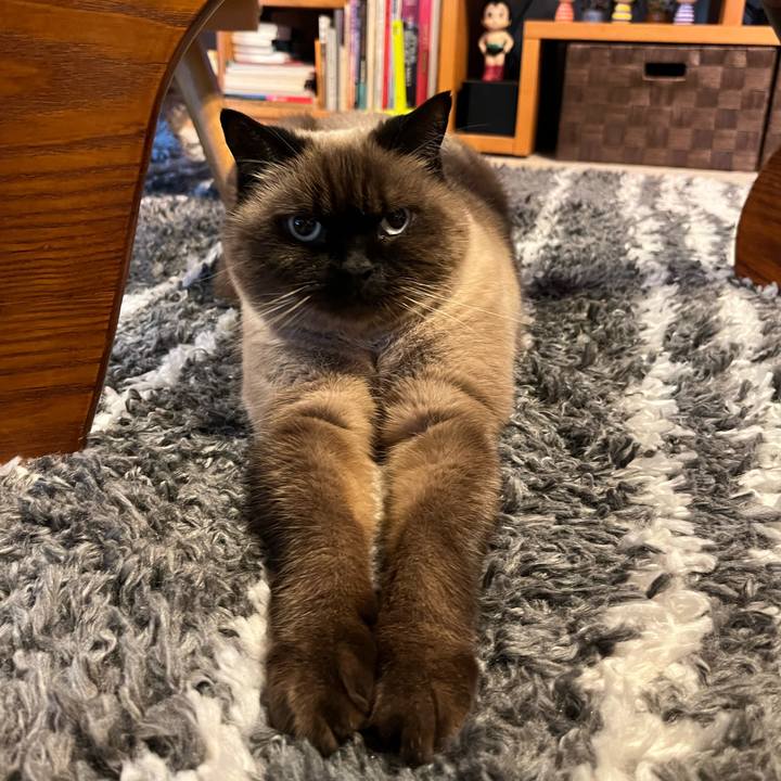 B49bf5b6 0e6d 4404 98ee 5128fc8ec08d 1731219774191