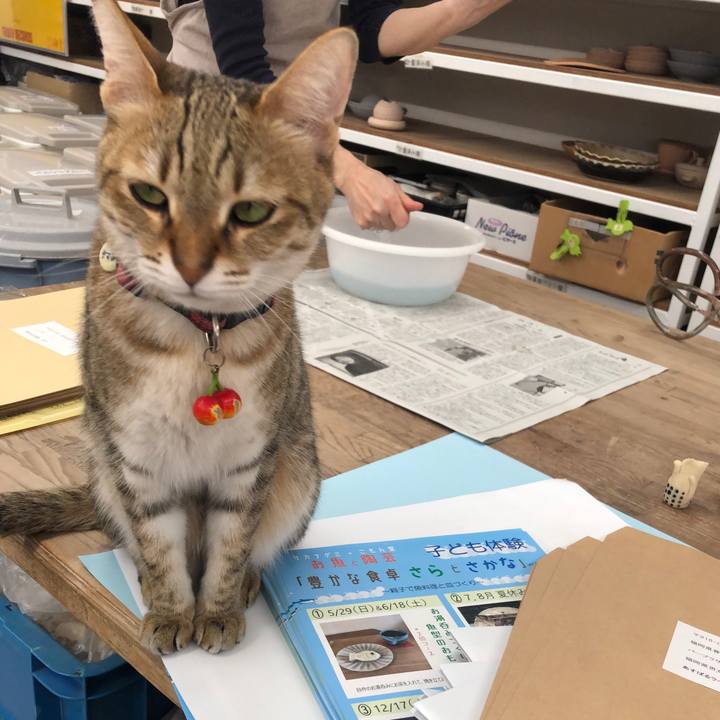 B49c0b5f 9af9 4b8e be91 f80cf9a3f51e 1652341787597