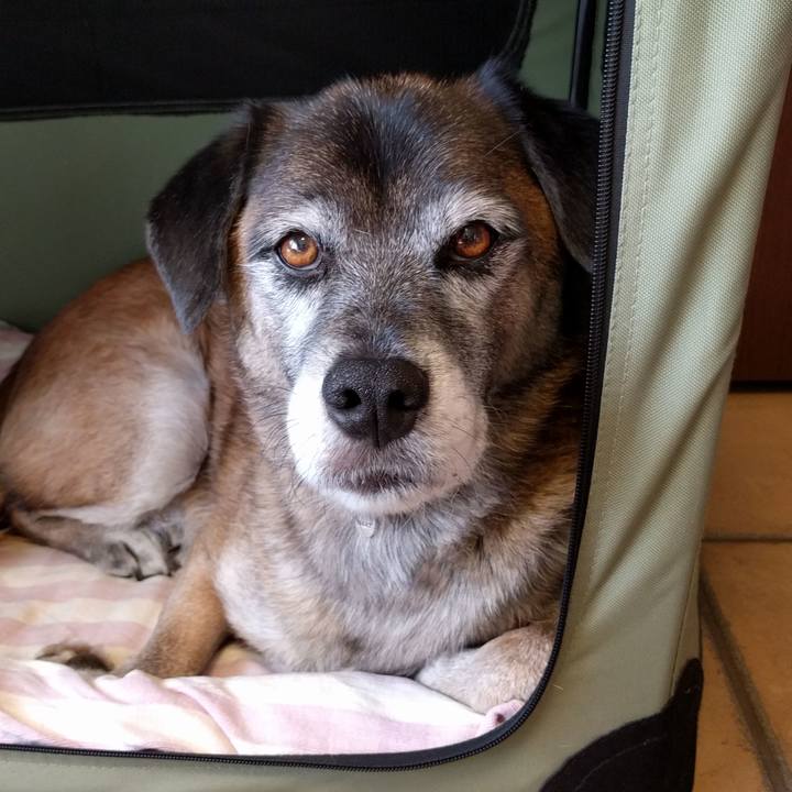 B49c403a 8840 4116 b0a7 1435bc0b47ba 1509084680367