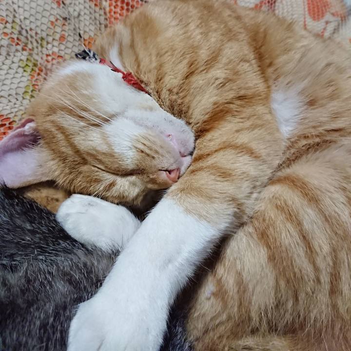 B49c48ea e6eb 4959 a494 4f48e30583bd 1572874721262