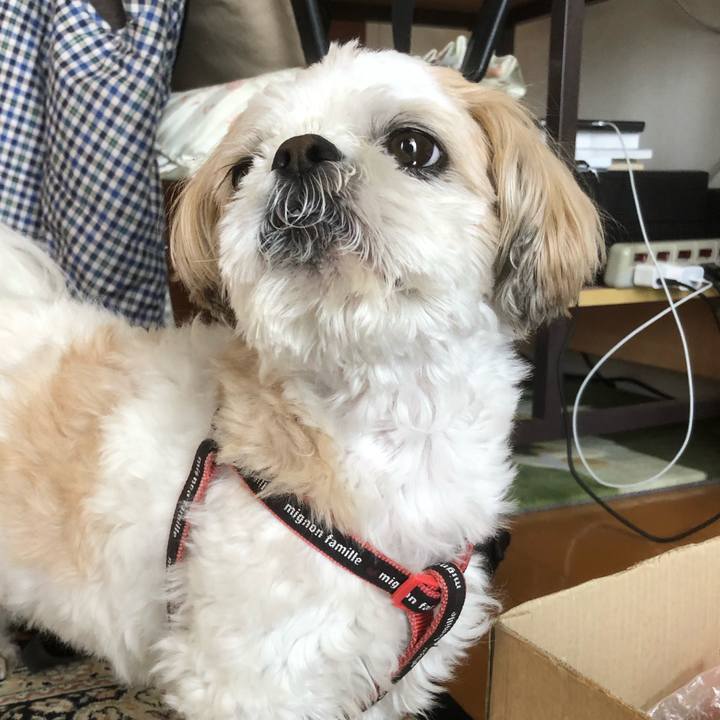 B49c4d8f 6e41 43a2 81fa 91f2d67c36ed 1620942536023