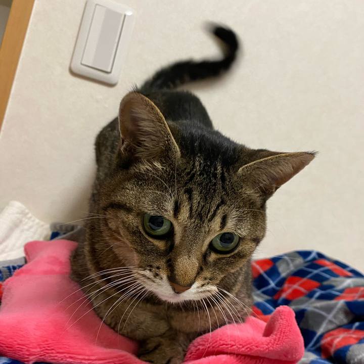 B49c50a9 6f40 4de7 9fa8 f0c74bfe3674 1772535886871