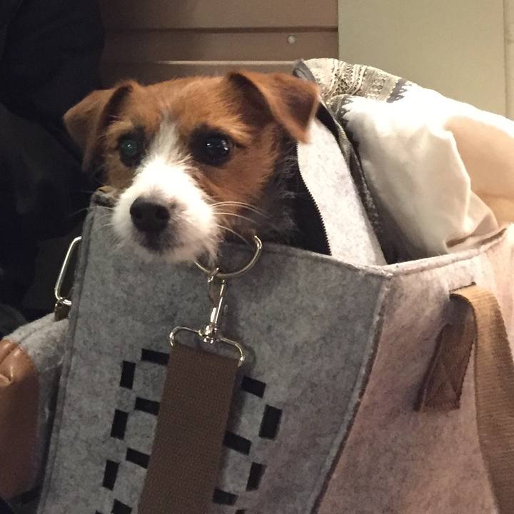 B49c67de 440c 489e 9766 d0c791174d83 1512919088193