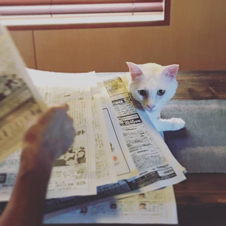 B49c7e18 d255 4d8f 9a56 e18909b99d26 1532387980163