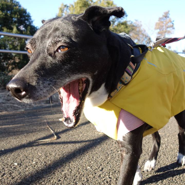 B49c8009 6372 4bea 9c2a cb7a60ea548a 1738973965920