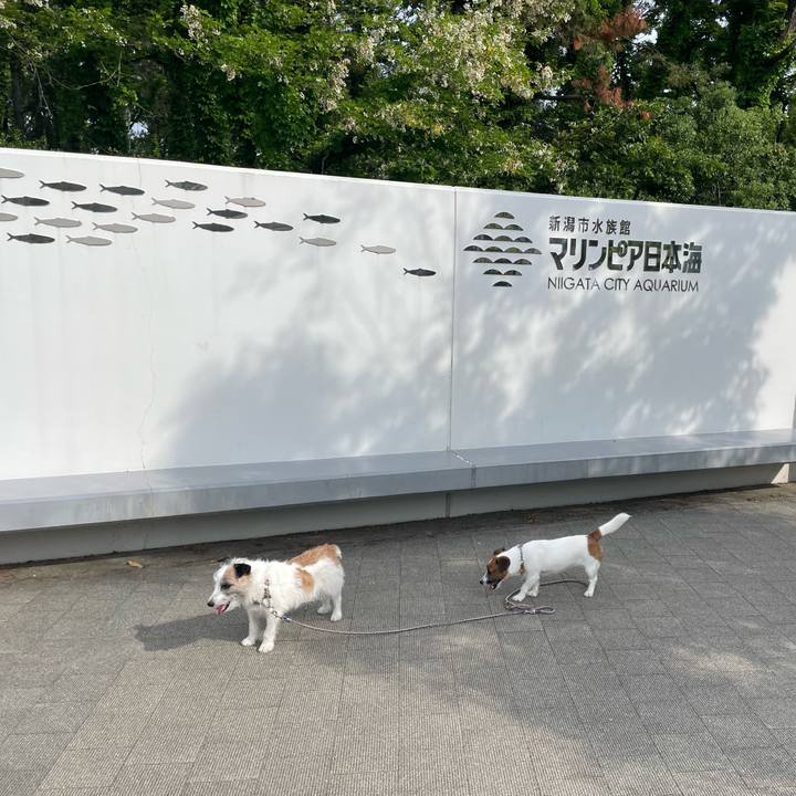 B49c8c86 9567 4c4a 86d2 25e9a8e7b323 1684625521570