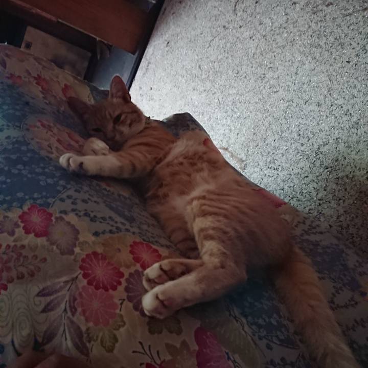 B49cccf0 1e96 4e88 b4ac ded852596f9b 1595728128023