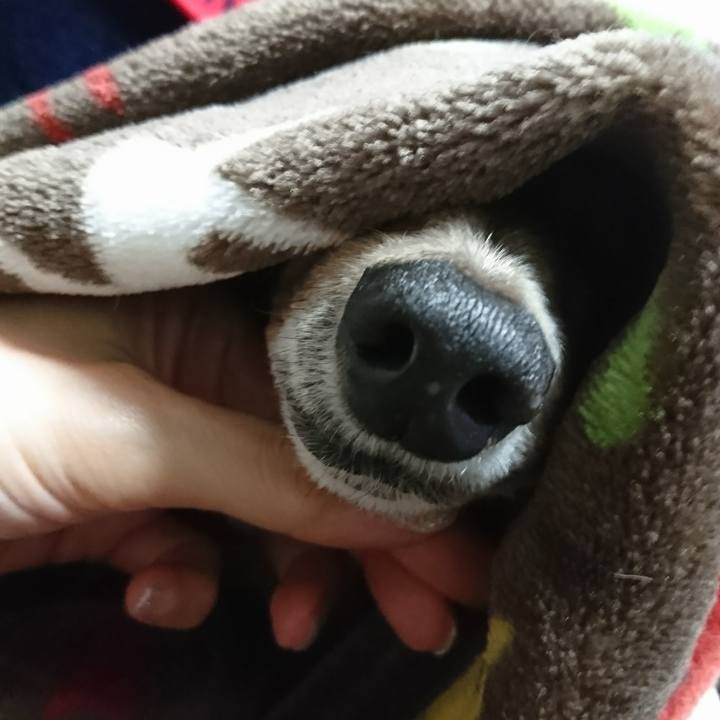 B49ce3d5 6373 4170 b527 78af717105ae 1510545725458