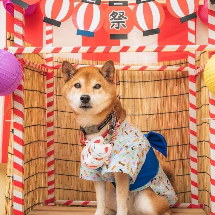 B49cf5f0 fbea 4ef9 9694 167dacc8b109 1724638314402