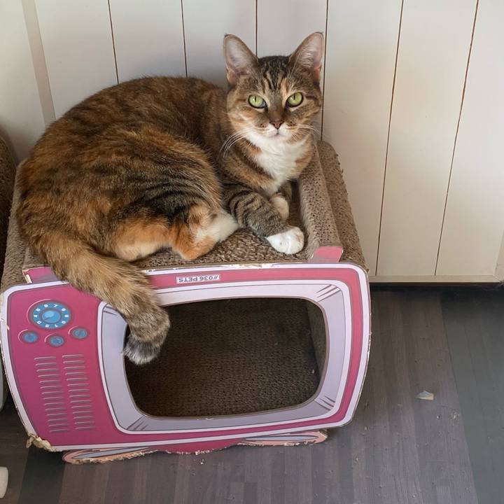 B49cfe1f 1622 49e5 824d 192232092094 1667084277739