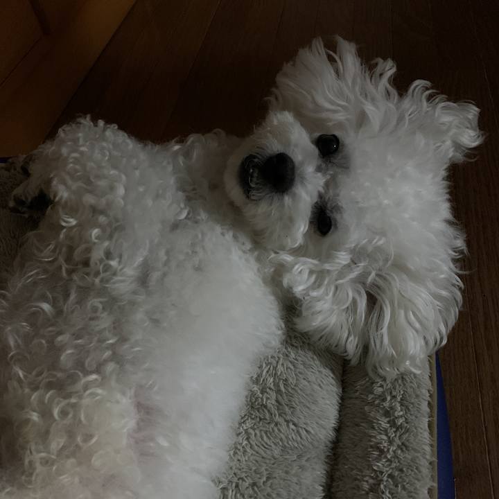 B49d166b 8022 43d6 930b dcffff089717 1580988888736