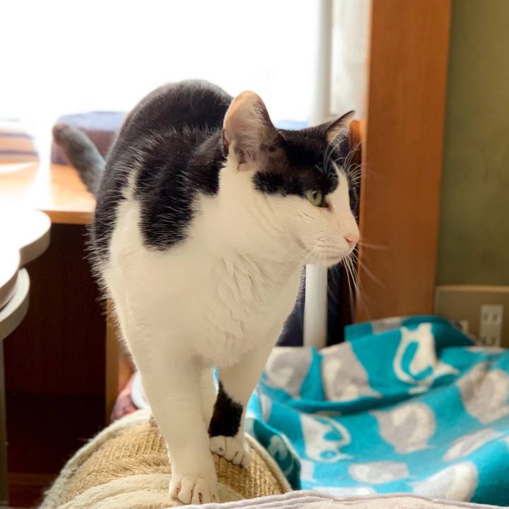 B49d1818 d6c7 439f 9762 f21aa069c7fc 1591236182736