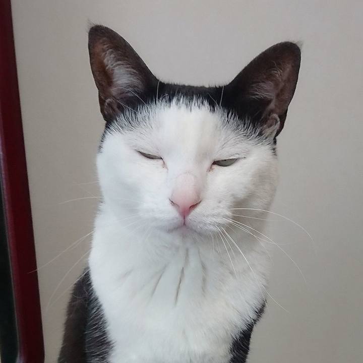 B49d1ceb 0af1 4545 9a2a 4cfb014c2d94 1554524071158