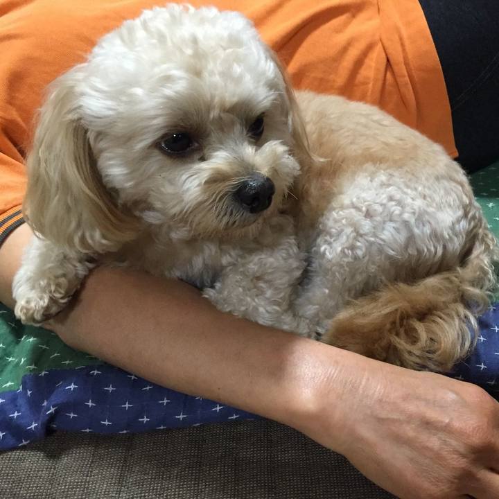 B49d2961 c28e 4f3f 9763 13a5bc0a59ad 1538690606731