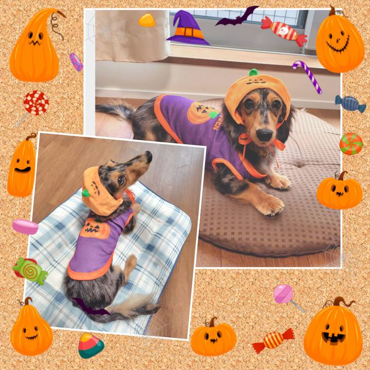 B49d6bc0 a998 4749 ae91 19f93000e309 1728430369452