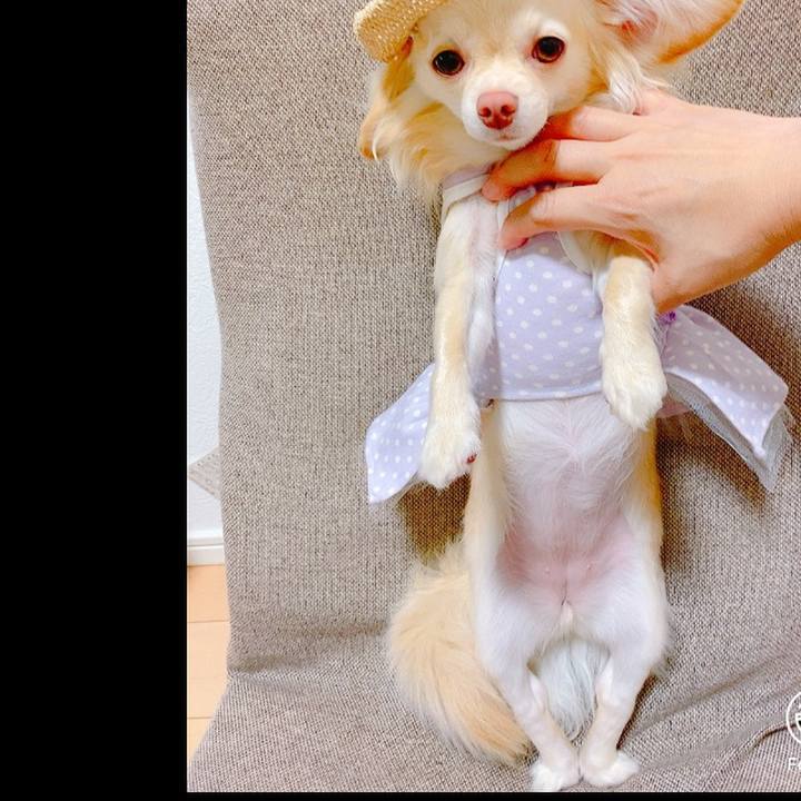 B49d9377 cb6c 44df af1e 5249e09d6b3f 1623395290931