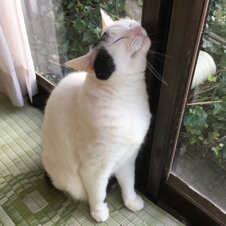 B49db056 373b 4b63 9f87 6bbd7aea2790 1580701362653