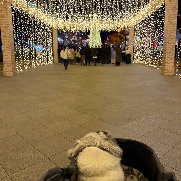 B49dc855 000b 444c 9941 6ac6c08cf776 1765108003787