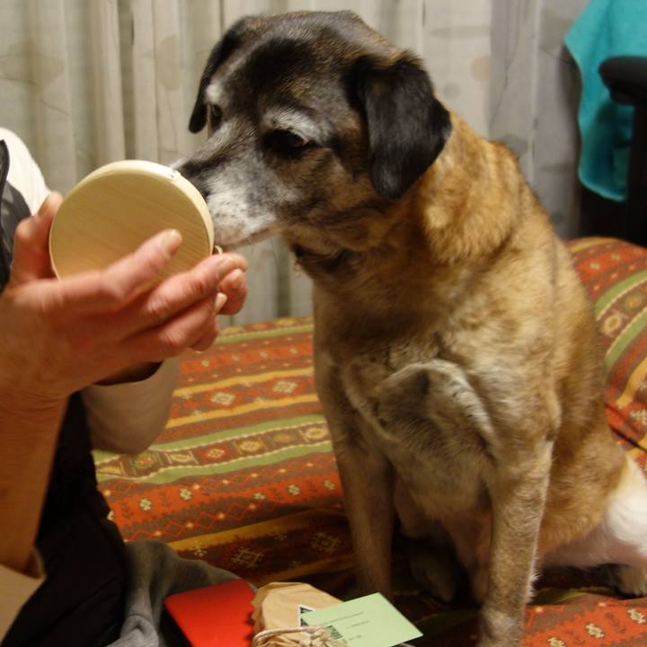 B49dedda ffb5 49b1 bd17 3b65b9b61b03 1629590169120