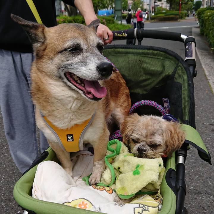 B49df2ab 8001 41cf 8849 06f693d68b2f 1525245565460