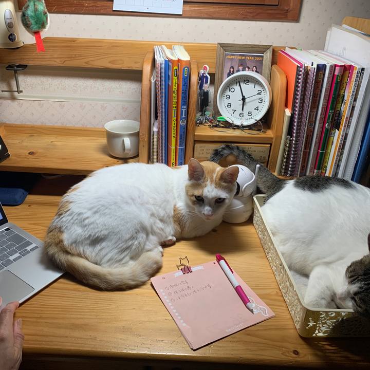 B49e02d8 00fe 43cc 8c9d 5a0c3953096f 1651180816223