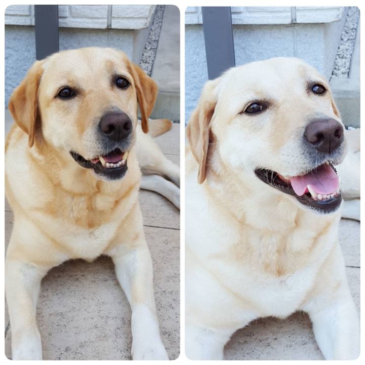 B49e0a42 7943 4eb7 8e53 13274804e1de 1532920027627