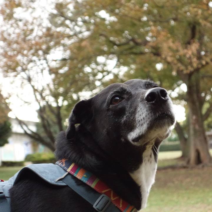 B49e6531 0281 4195 9aca bd68feeb2785 1731887335566