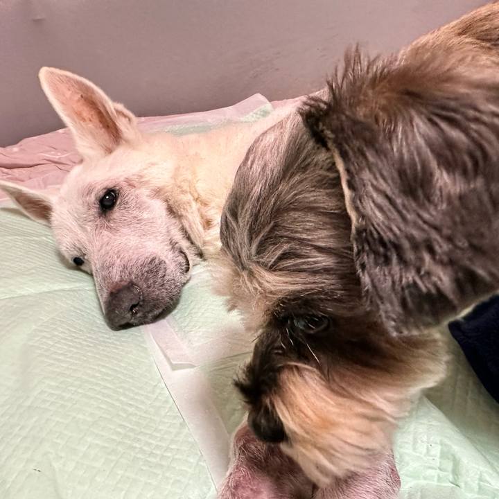 B49e6c3d 0b32 4f2e ae29 7086111c0ac3 1705143811475